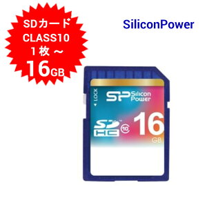 VRp[ SDJ[h SD 16GB SDHC CLASS10 SDHC[J[h 16GB@SP016GBSDH010V10y[֑z
