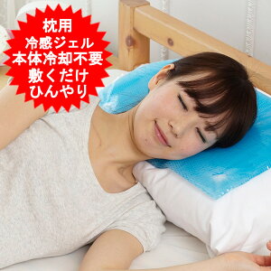 p p  WF ⊴Jo[ ⊴}NJo[ ⊴܂炩΁[ ⊴~pbh ⊴V[c p}bg pWF Ђ ₽  WF}bg ECO MǑ΍ WFp