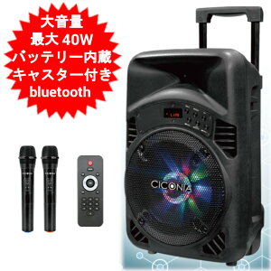 g[Xs[J[ CICONIA Xs[J[ 40W CTX08BS XeI bluetooth u[gD[X  dቹ ʒ 2䓯 CX g L FM |[^uXs[J[ obe[ mp3Đ }