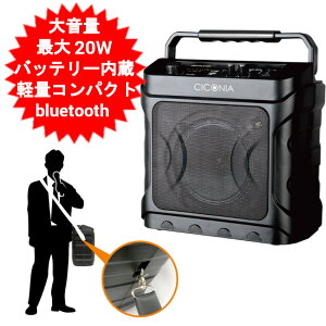 fXNgbvXs[J[ CICONIA Xs[J[ 20W CDD160A XeI bluetooth u[gD[X  dቹ ʒ 2䓯 CX g L FM |[^uXs[J[ obe[ mp3
