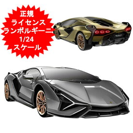 ラジコン スポーツカー ラジコンカー 1/24 RC ランボルギーニ SIAN シアン RC Lamborghini SIAN (1960) AHR1984AA 正規ライセンス取得 子供 車 おもちゃ 玩具 男の子 誕生日 お祭り イベント 景品 プレゼント クリスマス【送料無料(北海道、沖縄、離島は適用外)】