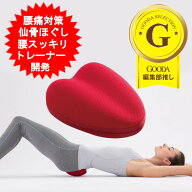 コシレッチ プロイデア 腰痛対策 仙骨マット 仙骨ほぐし 仙骨ストレッチ 仙骨サポート マッサージ 正しい…
