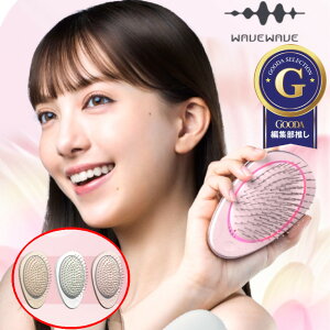 EMS wAuV NbVuV ̖ TT   TT Gꔯ wAPA e c  }CiXCI  PA ^ g RpNg  wA[ ܂Ȃ ÓdC 