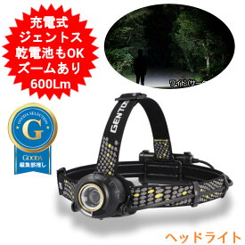 【アウトレット ちょっと訳あり】ヘッドライト ジェントス 充電式 LEDヘッドライト 600LM 高輝度 GENTOS 電池式 単三 単3電池 懐中電灯 釣り 登山用 天体観測 アウトドア ヘルメット バイク キャンプ ランニング 作業灯 防災用品 ヘッドランプ HW-G533H 送料無料