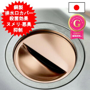 {  rJo[ rav[g rv[g p  E CI { O L Lb`pi 䏊  rv[g ӂ rt^ VN r 