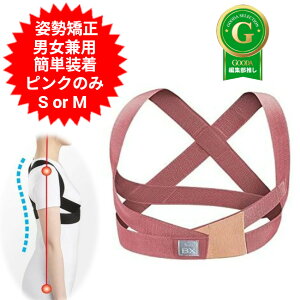 pxg MTG X^C r[GbNX Style BX sN STCY MTCY Lwxg LwT|[^[ b fB[X Y j  pT|[^[ Lwxg  pxg