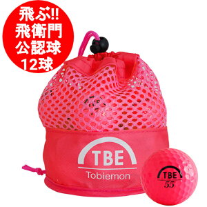 St{[ 1_[X 12 q щq Ƃт bVobO sN fB[Xɂ@ 򋗗@!! TBM-2MBP F