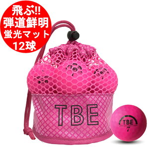 St{[ 1_[X 12 q щq Ƃт bVobO u}bgsN sN fB[Xɂ  򋗗@!! T-2MP F