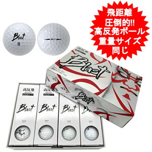 St{[ 1_[X Blast St{[ F q(Ƃт)̃[J[ zCg Zɂ͎gpł܂񂪂߂т܂