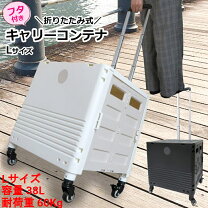 楽天市場】キャリーカート 折りたたみ アウトレットの通販