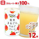 【ポイント10倍 11/4 20時～】長野県産 りんごジュース ストレート 100％ 信州まるごとりんごジュース 160g×12本 長野興農 お取り寄せ【お試し12本】