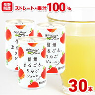 【20％OFF】長野県産 りんごジュース ストレート 100％ 内祝 信州まるごとりんごジュース 160g×30本 長…