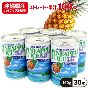 pCibvW[X 100 Y ꌧY pCW[X 160g×30{ 싻_ Mtg j j  bZ[WJ[ht