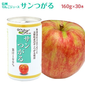 りんごジュース ストレート 果汁 100% 長野興農 信州りんごジュース サンつがる 160g × 30缶