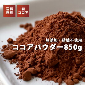 ココアパウダー 850g 大容量 ダッチココア社 送料無料 ハイファットタイプ ココアバター 22%～24% 無添加 砂糖不使用 香料不使用 チャック付き 純ココア ピュアココア カカオ