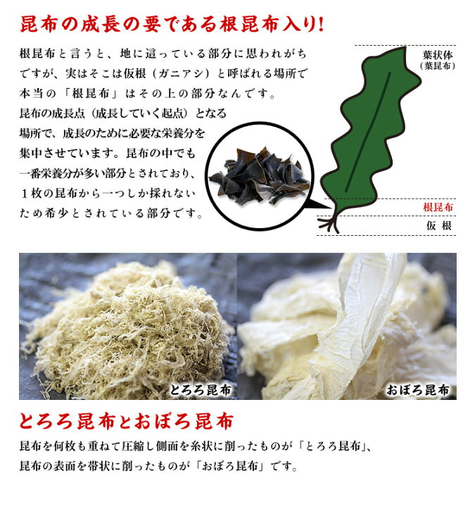 ヤマトタカハシ 根昆布入りとろろ昆布 同梱 30g 80袋 メーカー直送の