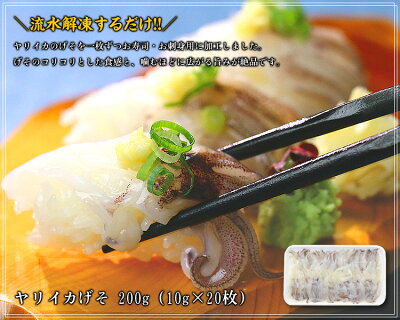 \寿司ネタ用/ヤリイカげそ(10g×20枚入り)