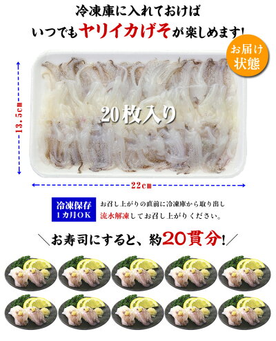 \寿司ネタ用/ヤリイカげそ(10g×20枚入り)