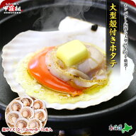 海鮮BBQにもってこい♪天然殻付き生ほたて特大サイズ（殻幅10〜12cm）×8~10枚入 帆立 ほたて ホタテ バ…