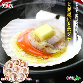 海鮮BBQにもってこい♪天然殻付き生ほたて特大サイズ（殻幅10〜12cm）×8~10枚入 帆立 ほたて ホタテ バーベキュー BBQ 冷凍食品