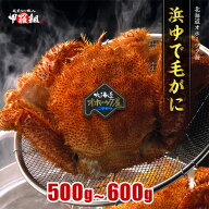 見切り品★半額セール！7,980円⇒送料無料3,990円！北海道産プレミアム毛蟹 500g～600g 姿 ボイル 冷凍 …