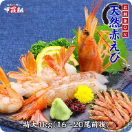 お試し送料無料3,599円！特大サイズの天然赤えび1kg（約16〜20尾前後）【赤エビ】【アカエビ】【あかえび…