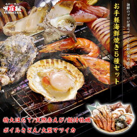 【お手軽本格海鮮焼き5種セット 2025】海鮮 バーベキュー BBQ アウトドア キャンプ 送料無料 エビ えび 海老 ホタテ ほたて 帆立 イカ いか 烏賊 サザエ さざえ カキ 牡蠣 かき 冷凍食品