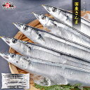 ★500円OFFクーポンで2,780円⇒2,280円! 国産 さんま 10尾 冷凍 秋刀魚 サンマ 塩焼き グリル フライパン おかず お弁…