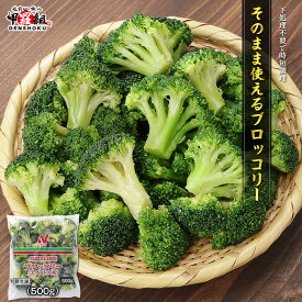 そのまま使えるブロッコリー 500g 冷凍野菜 カット野菜 IQF 時短 便利 お弁当 スープ サラダ パスタ グラタン 付け合わせ エクアドル 大容量