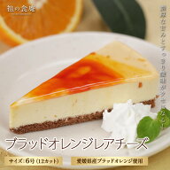 ブラッドオレンジレアチーズ 360g 12カット レアチーズ ケーキ チーズケーキ チーズ ブラッドオレンジ オ…