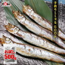 【10/21 23:59まで！お試し20％OFF】子持ち 丸干しししゃも 500g 標準or特大サイズが選べる♪ シシャモ ししゃも 樺太…