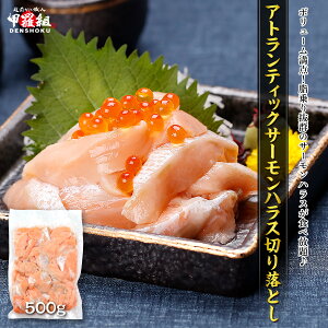 y󂠂zAgeBbNT[ nX ؂藎Ƃ Ղ500g T[ mEF[Y TCYs H hg g ⓀHi