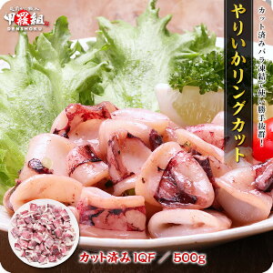 肢OJbg500g CJ G Jbgς IQF  ⓀHi