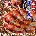 子持ち特大ぼたんえび1kg（16-20尾入り）【牡丹海老】【ぼたんえび】【牡丹えび】【ボタンエビ】【刺身】 ランキングお取り寄せ