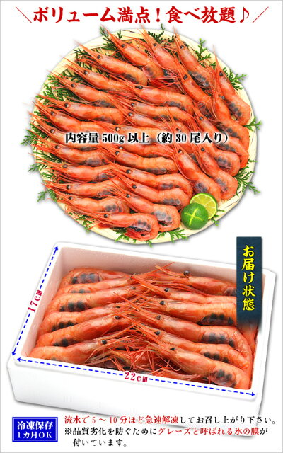 日本海船上急速凍結の一級品!子持ち越前甘えび大サイズ500g(30尾前後)送料無料!【エビ】【えび】【あまえび】【アマエビ】【甘エビ】