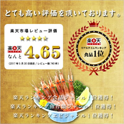 日本海船上急速凍結の一級品!子持ち越前甘えび大サイズ500g(30尾前後)送料無料!【エビ】【えび】【あまえび】【アマエビ】【甘エビ】