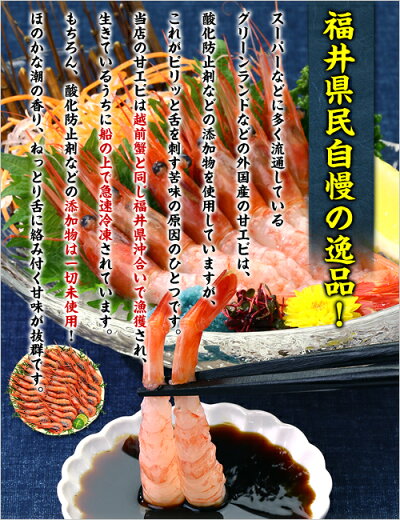 日本海船上急速凍結の一級品!子持ち越前甘えび大サイズ500g(30尾前後)送料無料!【エビ】【えび】【あまえび】【アマエビ】【甘エビ】