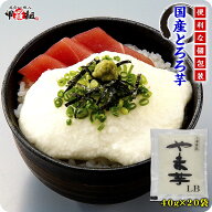 便利な個包装＆冷凍保存OK！のど越しが癖になる♪国産とろろ芋（無添加）40g×20袋入り【とろろ芋】【や…
