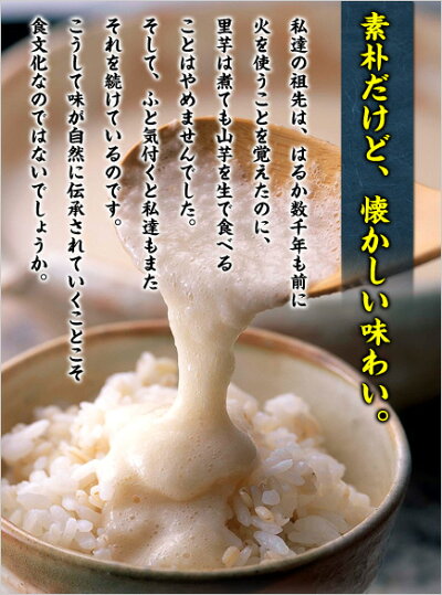 便利な個包装&冷凍保存OK!のど越しが癖になる♪国産とろろ芋(無添加)40g×20袋入り【とろろ芋】【やま芋】【長芋】