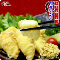 電子レンジでチン♪肉厚いか天ぷら山盛り1kg食べ放題！【イカ天ぷら】【いか天婦羅】【イカ天婦羅】 冷凍…
