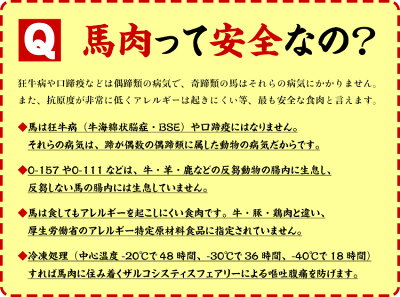 馬刺しヘルシー上赤身たっぷり10人前(50g×10袋入り)【馬刺】【馬肉】