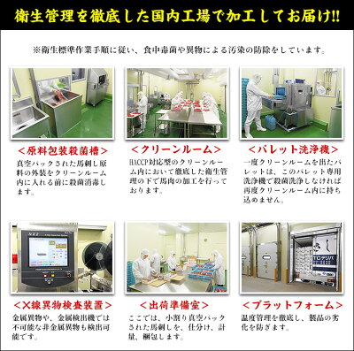 馬刺しヘルシー上赤身たっぷり10人前(50g×10袋入り)【馬刺】【馬肉】