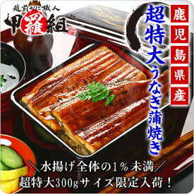 まだ間に合う！＼7月20日は土用丑／水揚げ全体の1％未満！超特大＆肉厚な鹿児島県産うなぎ蒲焼き300g前後×2尾入り（専用化粧箱＆食べ方の説明書同封）送料無料【鰻】【ウナギ】【うなぎ】