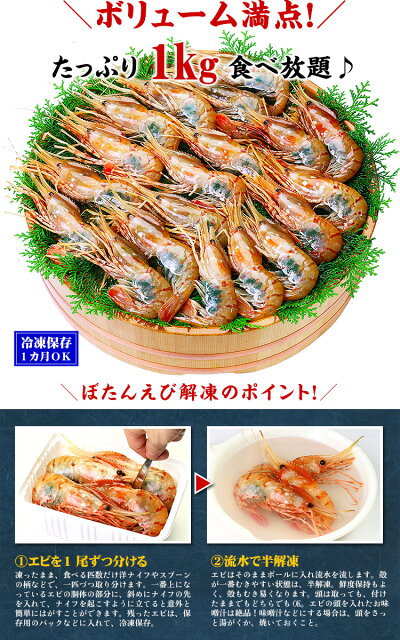 子持ち特大ぼたんえび1kg(16-20尾入り)【牡丹海老】【ぼたんえび】【牡丹えび】【牡丹エビ】【刺身】※9/12より5,400円