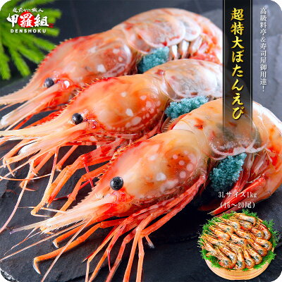 希少な【超特大】子持ちぼたんえび1kg(16-20尾入り)送料無料【牡丹海老】【ぼたんえび】【牡丹えび】【ボタンエビ】【刺身】