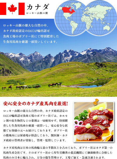 馬刺しヘルシー上赤身たっぷり10人前(50g×10袋入り)【馬刺】【馬肉】
