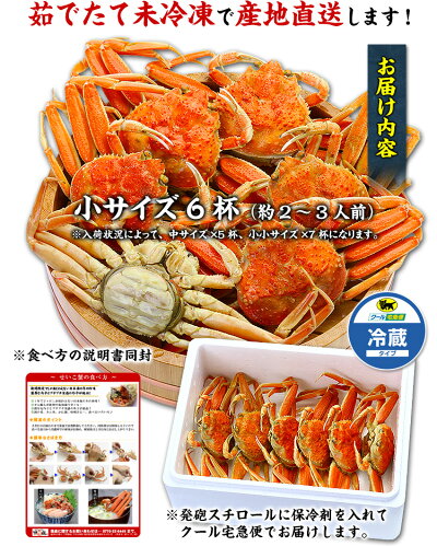 【早割】1,000円OFF!2セット購入で500円OFFクーポンあり!茹でたて未冷凍の越前松葉せいこ蟹(お試し小サイズ5ハイ/2〜3人前)※11/6の解禁日以降、ご注文順に出荷(着日指定不可、同梱不可)せこがに香箱ガニセイコガニせこ蟹セコガニ