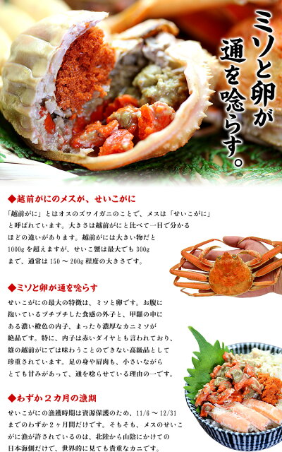 早割1,000円OFF!更に2箱で500円OFF!3箱で1,050円OFF!4箱で2,000円OFFクーポンあり!【同梱不可】【着日指定不可】11/6の解禁以降、入荷次第ご注文順に出荷!茹でたて未冷凍の越前松葉せいこ蟹/小サイズ×6杯(入荷状況により中サイズ×5杯、小小サイズ×7杯になります)
