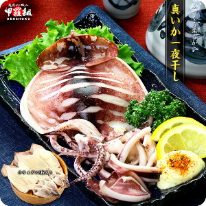 いか一夜干し 魚介加工品の人気商品 通販 価格比較 価格 Com