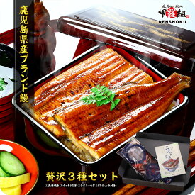 母の日 プレゼント 間に合う！ ギフト 希少な超特大サイズの鹿児島県産ブランドうなぎ蒲焼き贅沢3種セット（超特大長蒲焼き220g、超特大カットうなぎ100g、超特大きざみうなぎ75g）タレ＆山椒×2袋、うなぎ読本、化粧箱